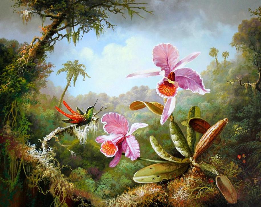 Orchidea és kolibri